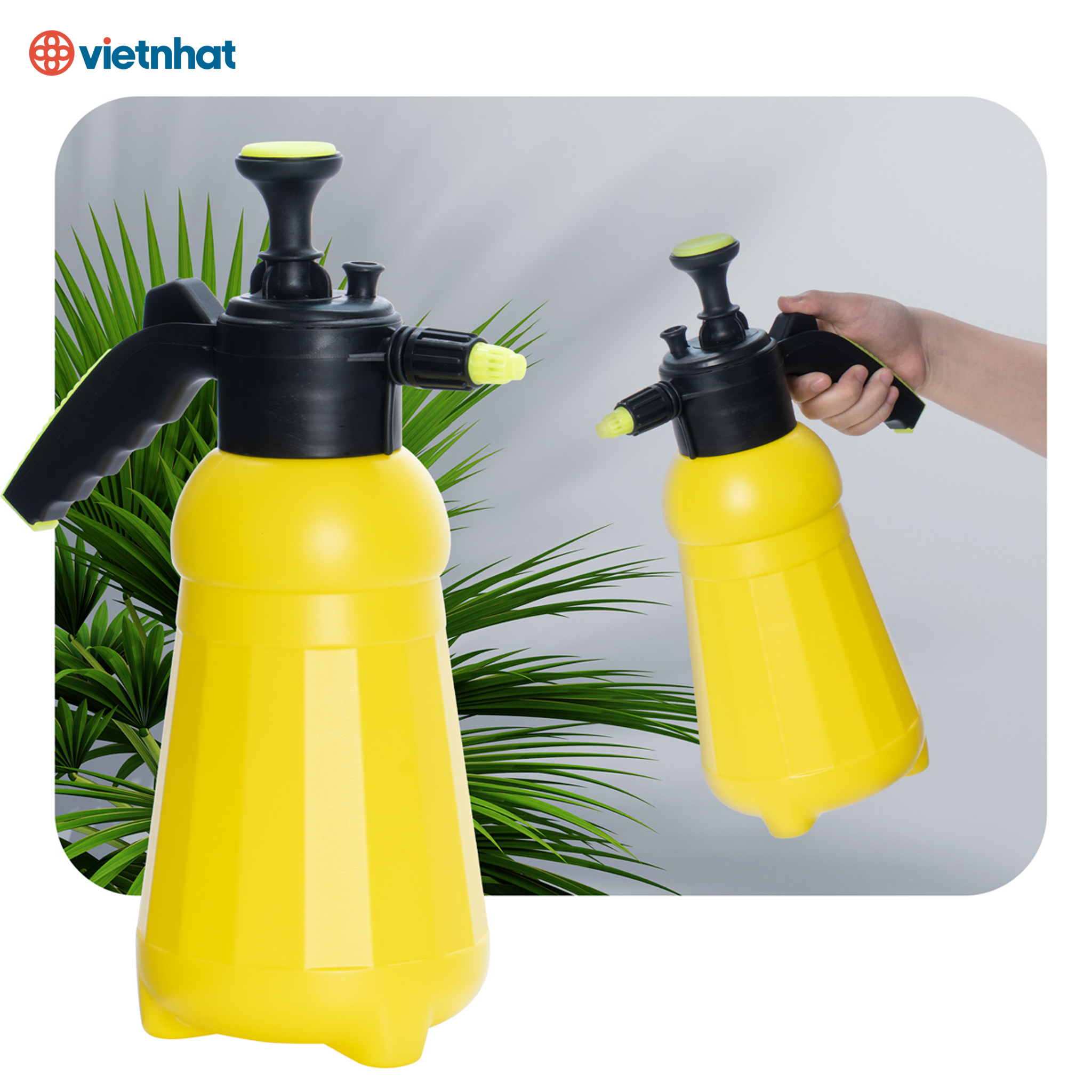 CÁC NGUYÊN TẮC TƯỚI NƯỚC CHO CÂY CẢNH NHẤT ĐỊNH PHẢI NHỚ