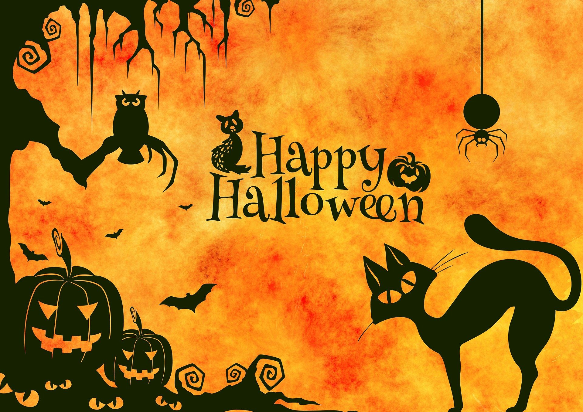 LỄ HỘI HALLOWEEN - NHỮNG SỰ THẬT THÚ VỊ CÓ THỂ BẠN CHƯA BIẾT