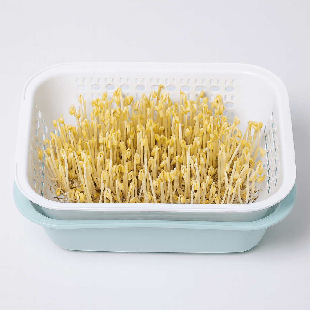 GỢI Ý CÁCH LÀM GIÁ ĐỖ BẰNG THÙNG NHỰA, RỔ NHỰA ĐƠN GIẢN TẠI NHÀ