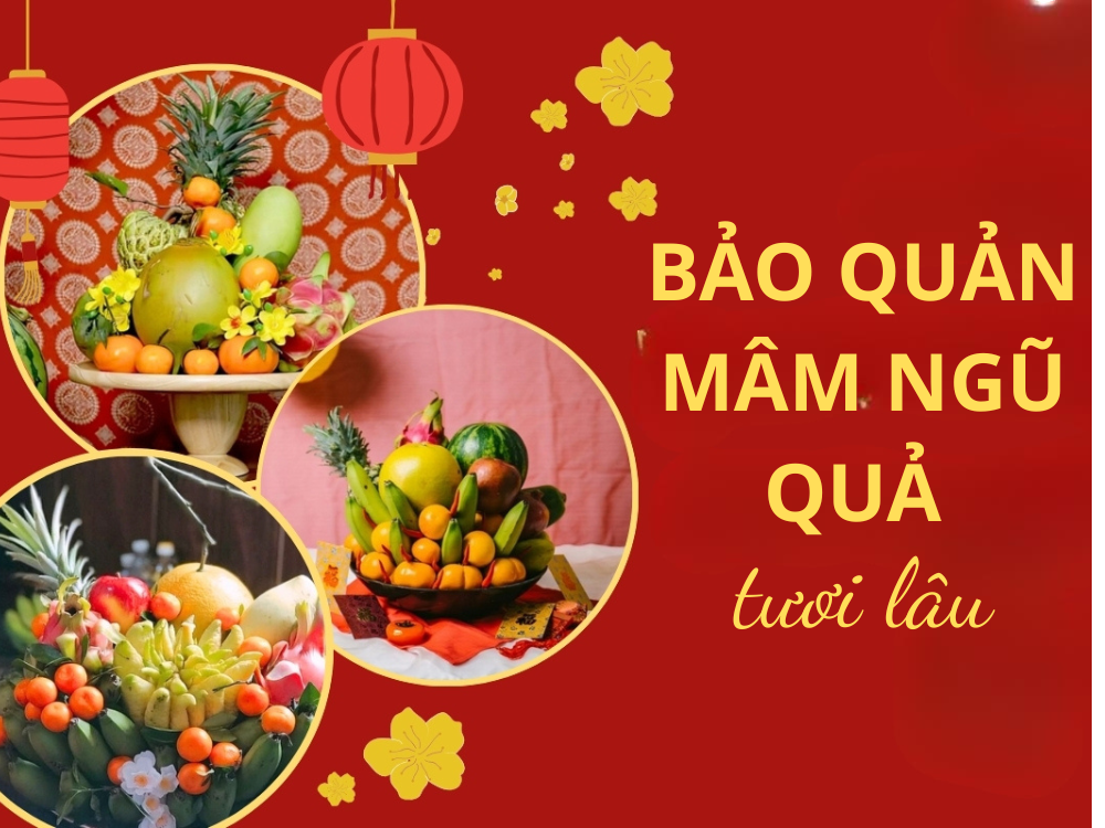 BẢO QUẢN TRÁI CÂY ĐỂ MÂM NGŨ QUẢ TƯƠI LÂU VỚI 3 MẸO THẦN THÁNH