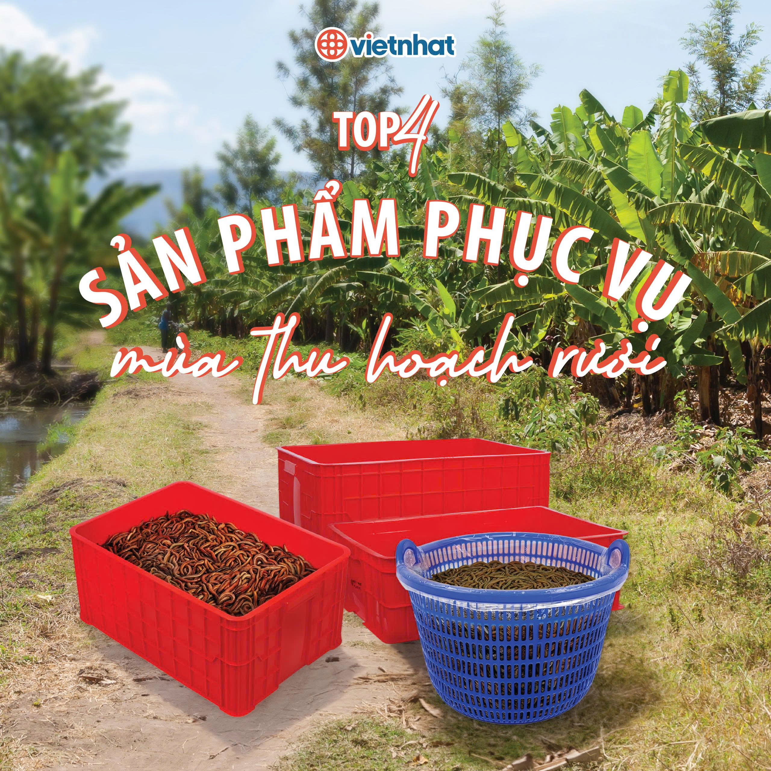 RƯƠI SẮP VÀO VỤ: TOP 4 SẢN PHẨM CẦN CÓ PHỤC VỤ MÙA THU HOẠCH