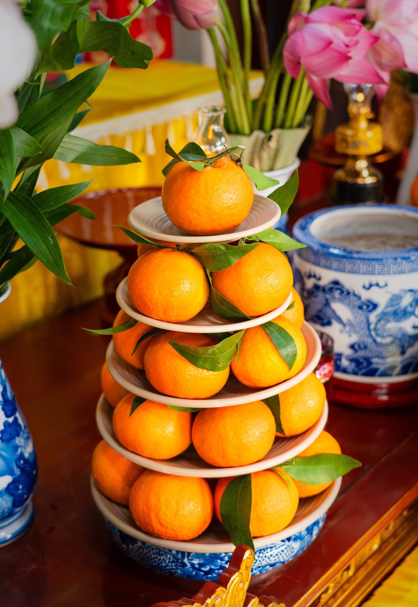 Bộ đĩa tròn thái