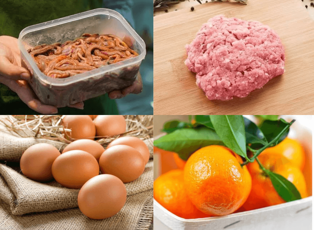 Nguyên liệu làm chả rươi