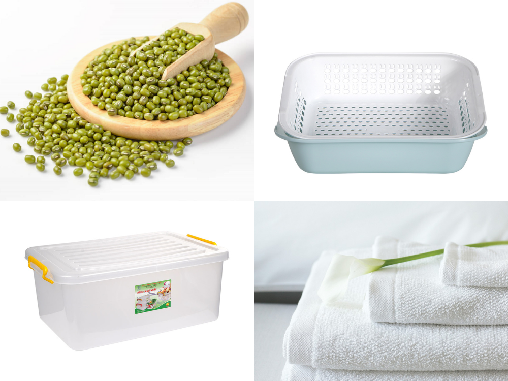 nguyên liệu làm giá đỗ tại nhà