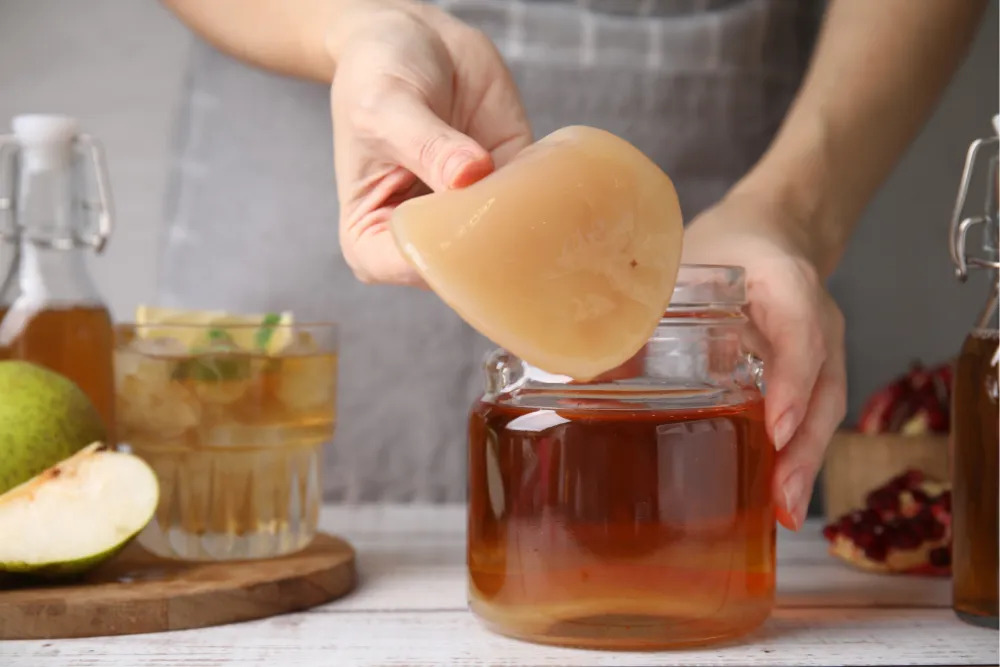 cách làm trà kombucha giảm cân