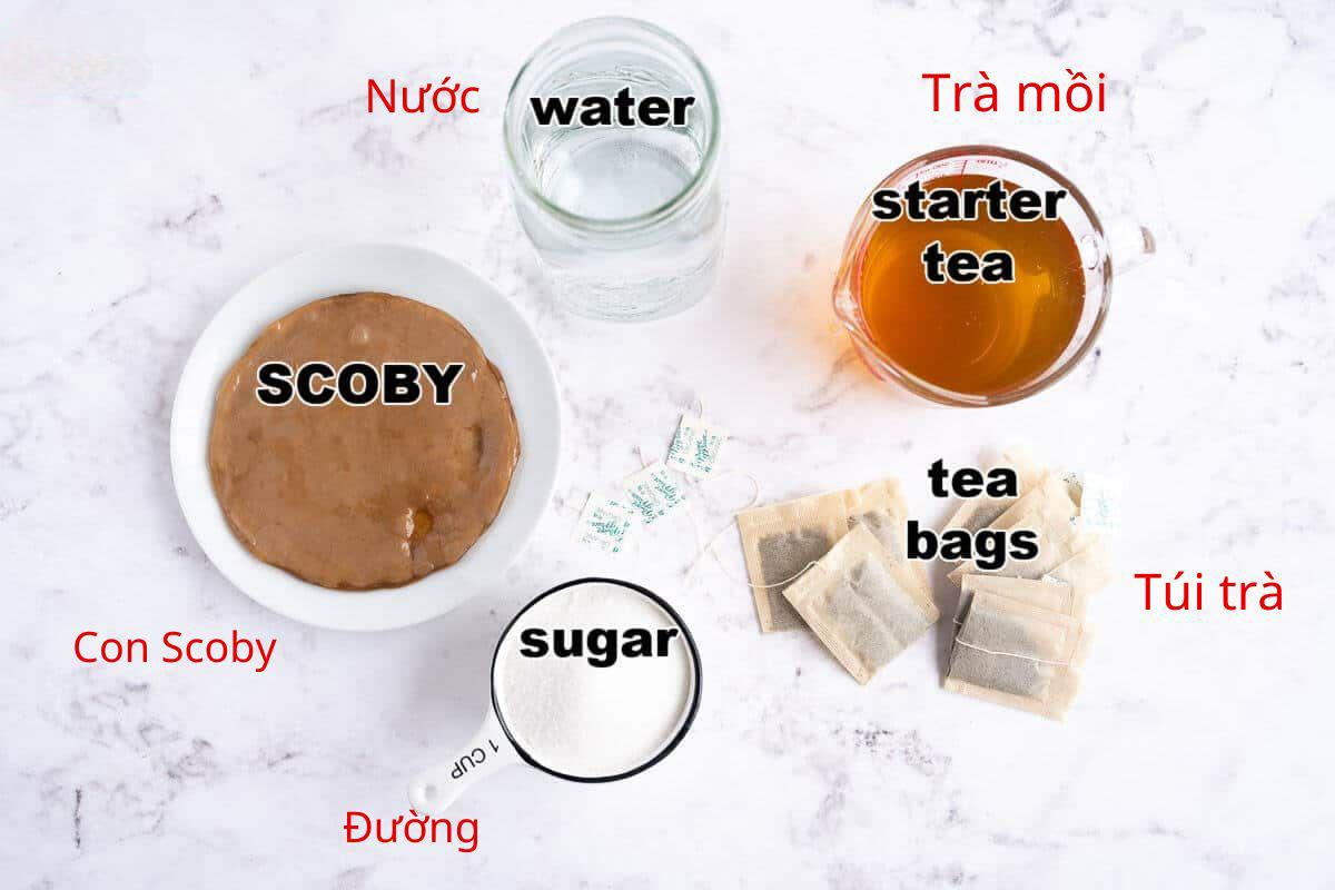 nguyên liệu làm trà kombucha
