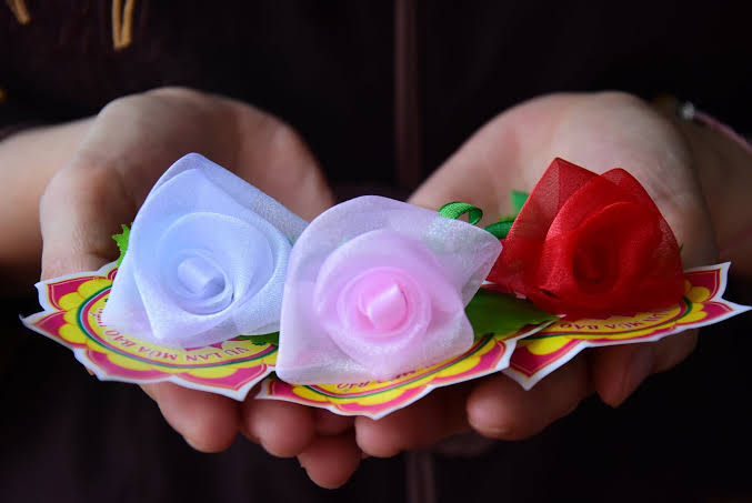 Cài hoa hồng lễ Vu lan