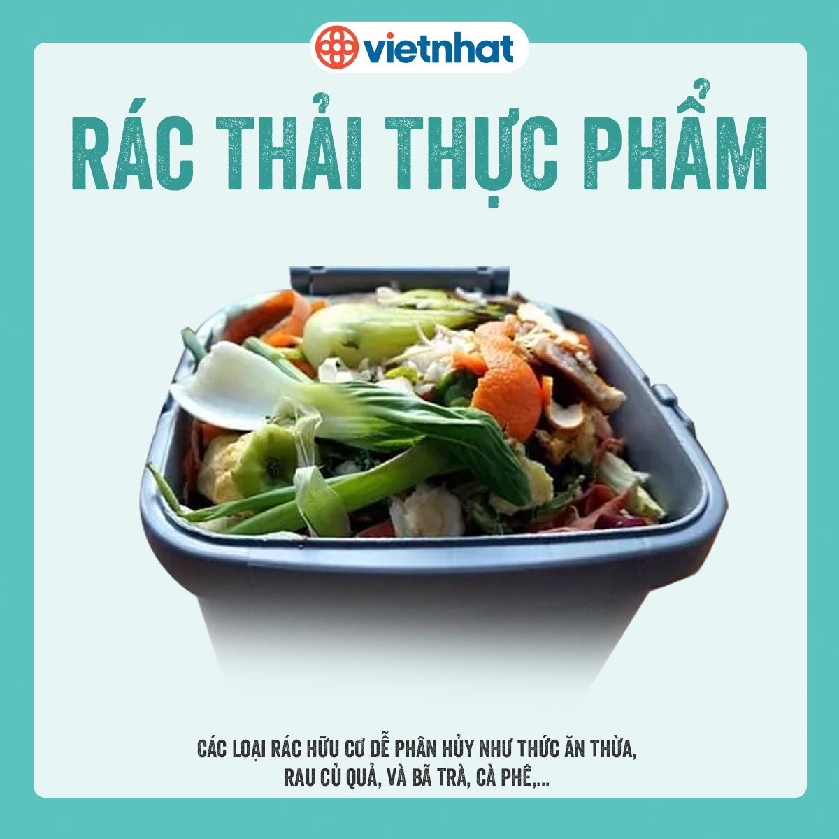 Phân loại rác hữu cơ